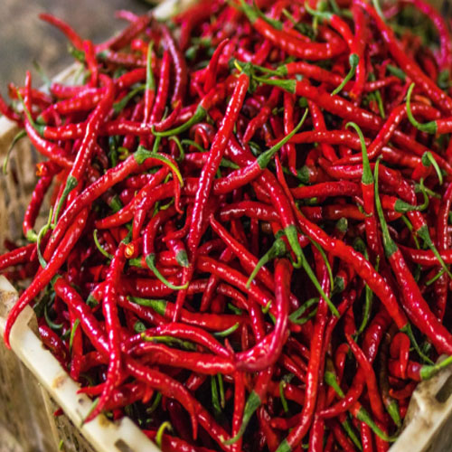 Red Chilli In USA